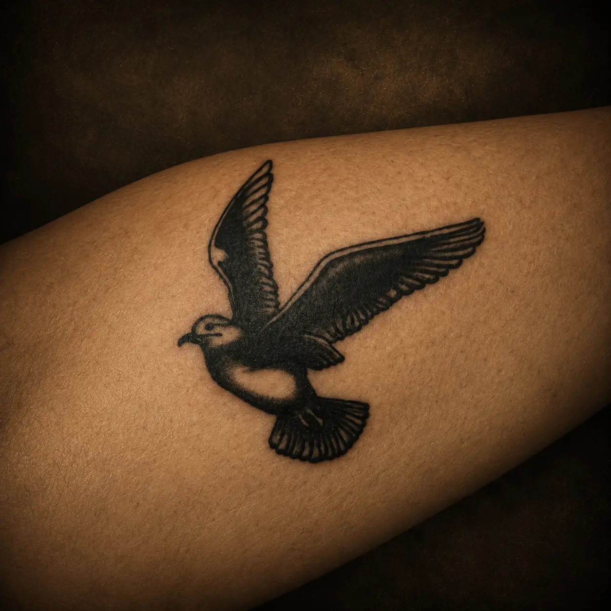 Gallery 07 Flying Bird